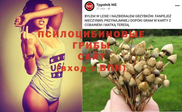 MDMA Алексеевка