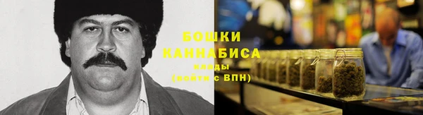 ГАЛЛЮЦИНОГЕННЫЕ ГРИБЫ Алексин