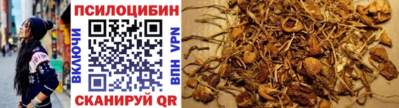 даркнет сайт Апшеронск Псилоцибиновые грибы Magic Shrooms
